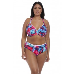 PARADISE PALM bikini alsó